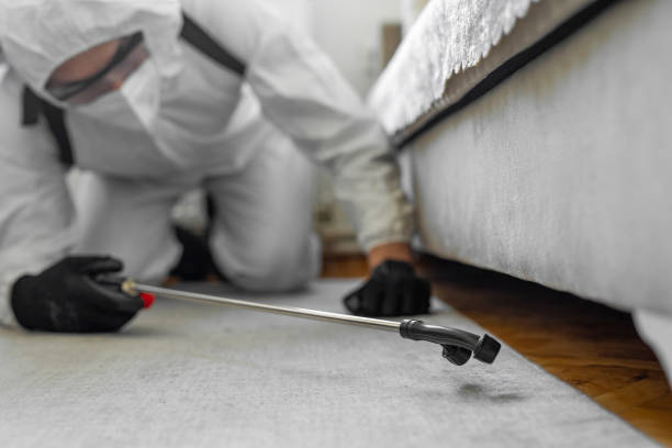 Professional Bed Bug Control technician working in Goodrich, MI