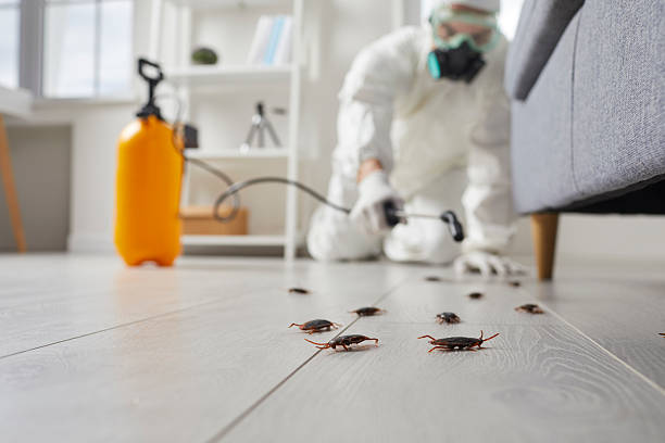 Trusted Cockroach Control service in Goodrich, MI - Nex Pest Control