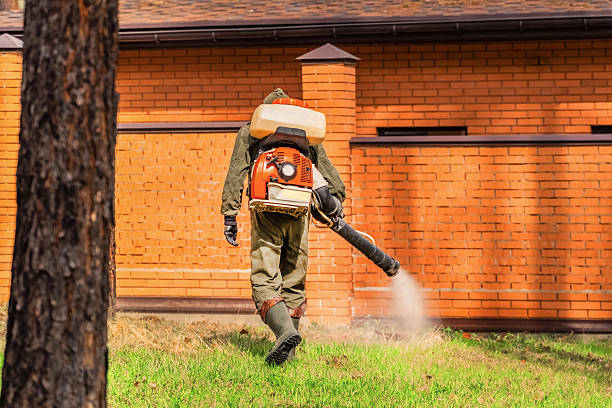 Trusted Bed Bug Control service in Goodrich, MI - Nex Pest Control